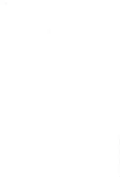 Ero-chan to Issho 3 Bishoujo Card Collector H Anthology