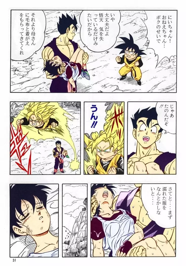 DRAGONBALL H Bessatsu Soushuuhen