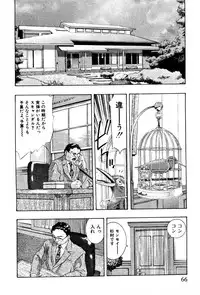 [Onikubo Hirohisa] Mehyou | Female Panther Volume 4