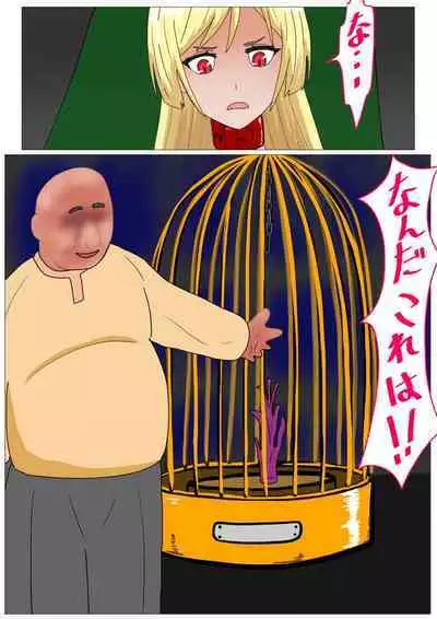 Aigan Ningyou ni Sareta Kyuketsu Hime（chinese Machine translation）