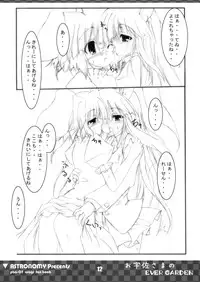 [COMIC1] [ASTRONOMY (SeN)] Ousa-sama no EVER GARDEN (Touhou Project)