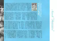 [Nishieda] Dendrobium (Decensored)