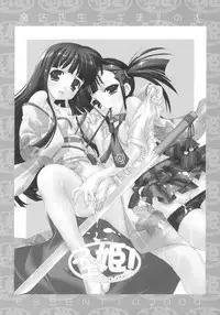 (C66) [ESSENTIA (Fujima Takuya)] Negihime! (Mahou Sensei Negima!)