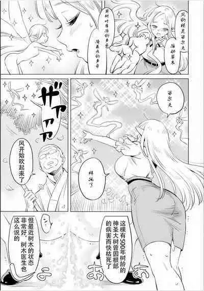 Where is the elf teacher's toilet?