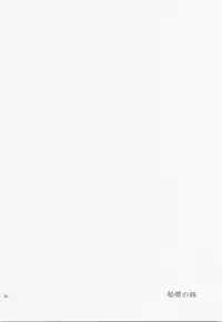 Himitsu no Mori Soushuuhen