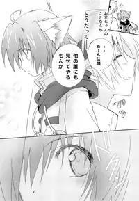 (C89) [Syounen Heroine (Tamaki Yui, Midou Ren)] Chiisana Taiku (Star Ocean 2)