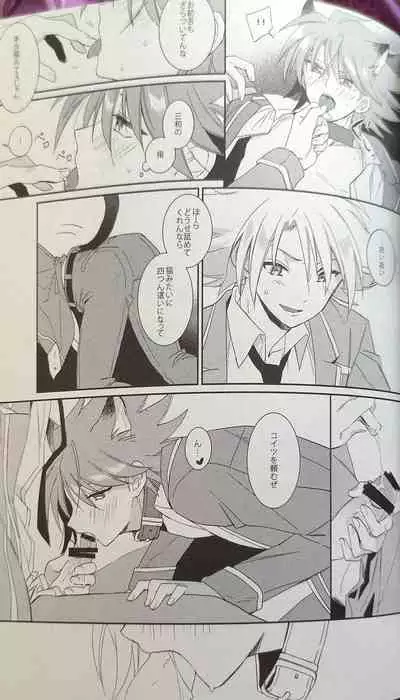 Nekonimatatabi Cardfight Vanguard!!