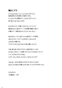 (C84) [Shirakaba Doori (DRY)] R8 (Fate/hollow ataraxia)