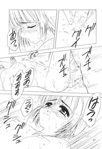 (CR21) [Rabbits (Yamashita Masahiro)] Akatsuki Teitoku (Card Captor Sakura)