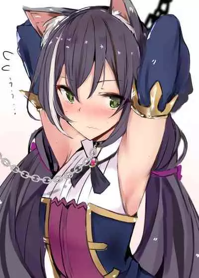 Ecchi na Koto Shite Connect Suru Hon