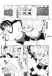 [Trochilidae] fighting queen 3 [Chiense]