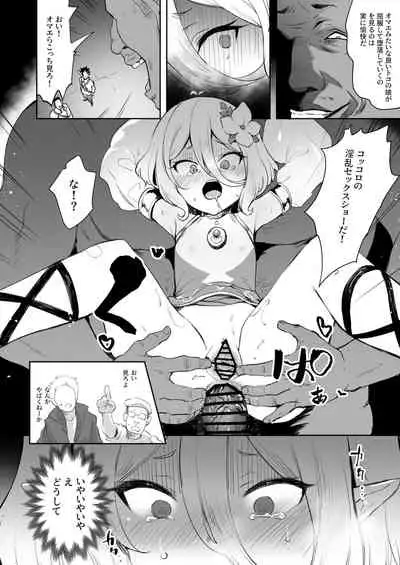 Kokkoro Choukyou NTR