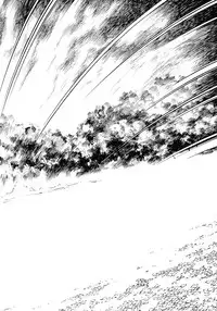 [Shibata Masahiro] Nano Sector