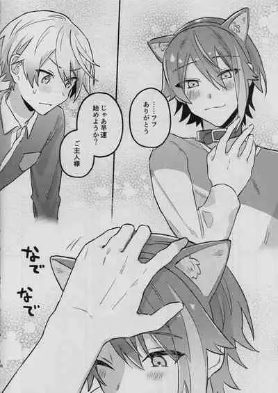 Tsukasa ga nyanyansuru book