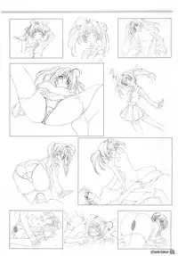 Maple Colors Fanside - Mediax Mook 238