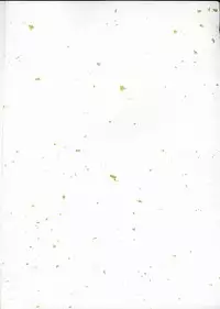 (C62) [Ocarina (Dyontairan)] Cowaremono