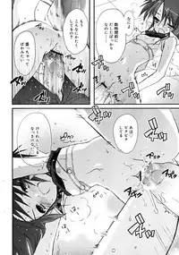 COMIC RiN 2008-06 Vol.42