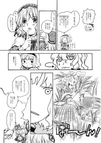 (C74) [Shoujo Zukin (Hatomugi Munmun)] Marecollect (Touhou Project)