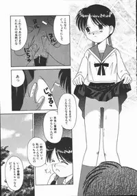 [DONKEY] Pokapoka Fantasy