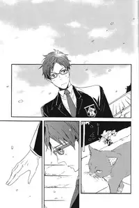 (HaruCC19) [ciao, baby (Miike Romuko)] Seikoutoutei (Free!)