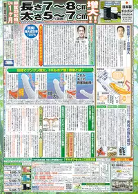 COMIC SIGMA Vol.32 [2009-06]