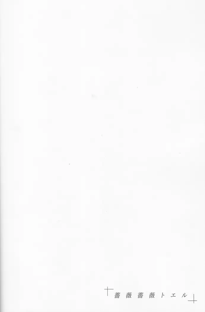 Bara Bara Toeru <Team Janus>