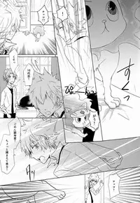 (C80) [Alpenreise (Ayano Ena)] Kiseki (Katekyo Hitman REBORN!)