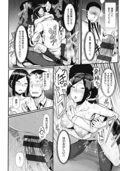 [Shiden Hiro] Tappuri Himegoto!