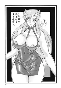 [Rippadou (Inugai Shin)] Nyuutype Z (Gundam)