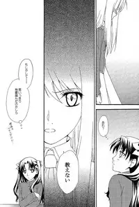 (C71) [Angel Red (Kawashima Mitsuha)] Promised land (Fate/hollow ataraxia)