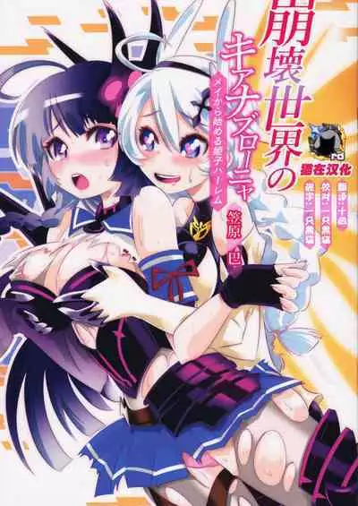 The Honkai World of Kiana Bronya