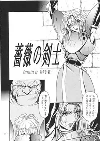 (C50) [Metal (Azuki Kurenai)] LADY 2 (Various)