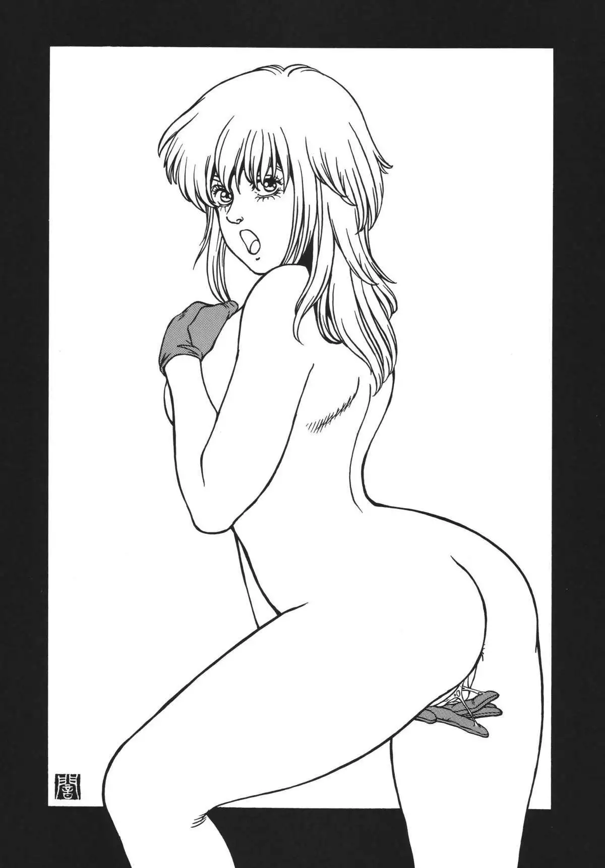 NEXT Climax Magazine 14 GUNDAM SEED ONLY