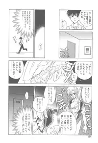 [Mikuni Saho] TWIN HEART