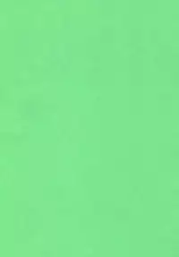 [Dokuritsu Gurentai (Bow Rei)] Yurisuzume