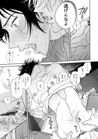 Ichalove Car Sex Book