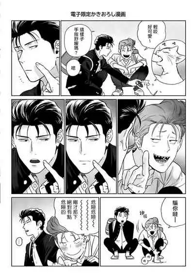 Nakasete Yaru yo Yankee-kun | 让你哭噢小混混 番外