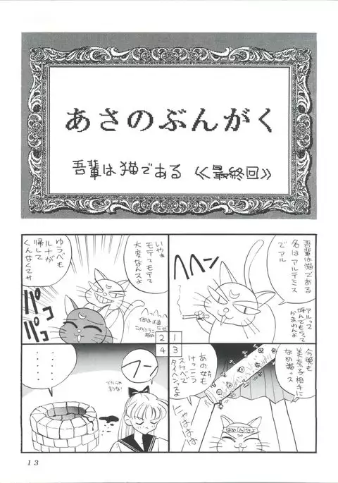 Suke Sailor Moon Moon