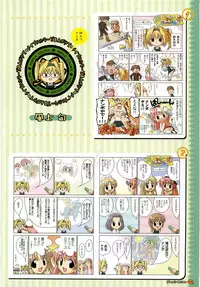 Maple Colors Fanside - Mediax Mook 238