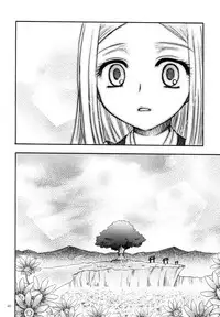 (C78) [Crazy Cats (Suzuki Mira, Oonami Youko)] Himekami -Mutsuki-