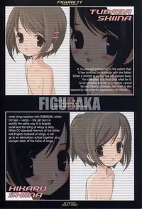 [Shimoboard, PLASTIC IMAGE (Shimosan, Shimamura Miwa)] Figubaka (FIGURE 17)