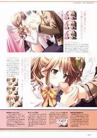 Sakura Sakura Visual Fan Book