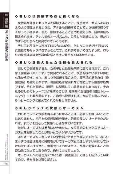 いますぐデキる 図説おしりエッチマニュアル