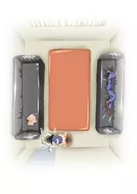 [N-Graphic] Hello My Second Love (Kindaichi Shounen no Jikenbo)