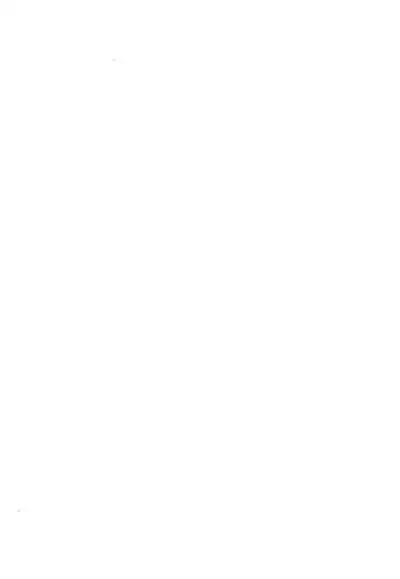 Kitsune-san to Umi de Asobou!