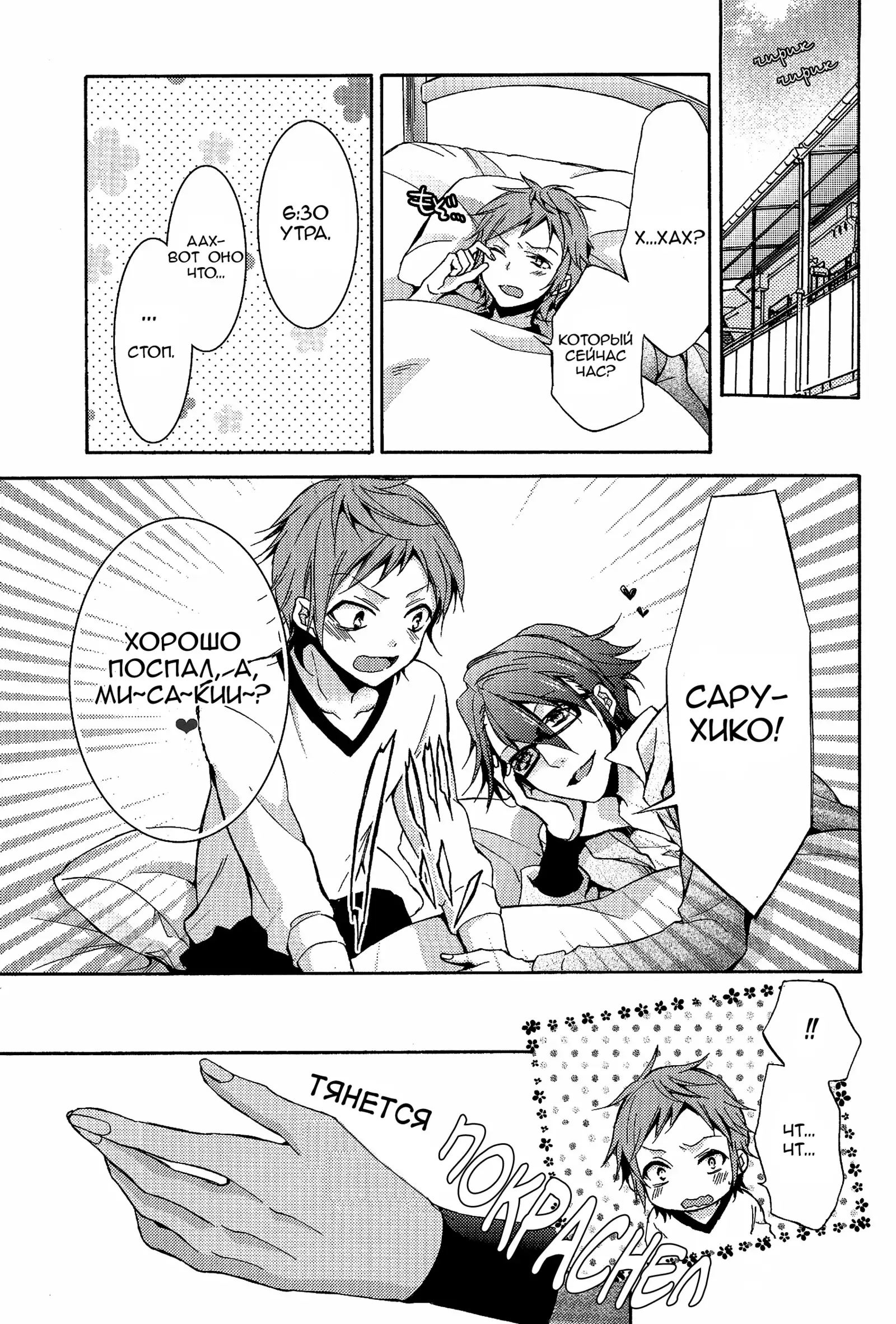 Shiawase no Kuroi Tori | A Black Bird of Happiness