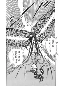 [Inui Haruka] Joousama Wars