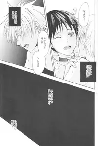 (C83) [Praline (Suzunari Natsuru)] Nr.9 (Neon Genesis Evangelion)