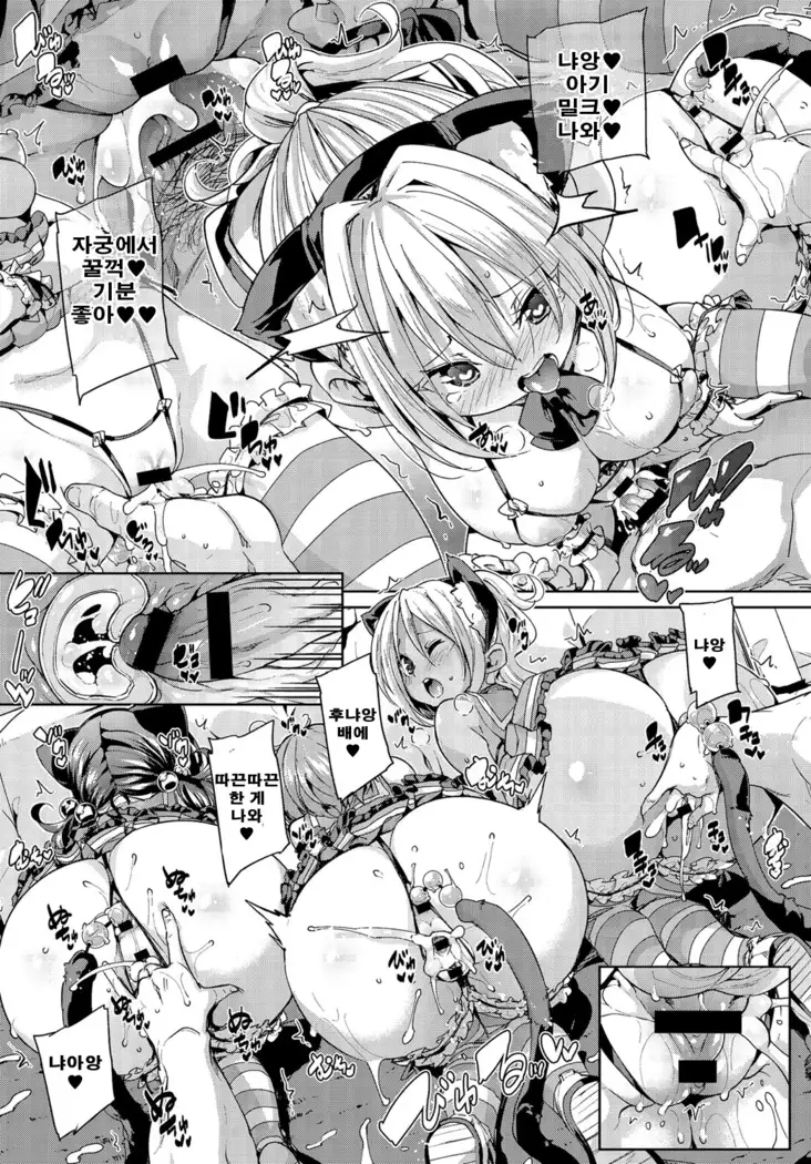 Nekocafe hatuzyuutyuu