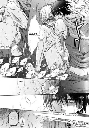 Mermaid and the Magician